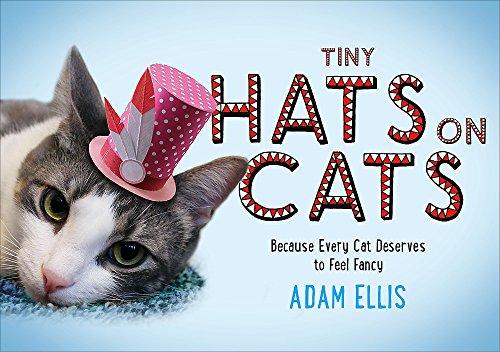 Imagen de archivo de Tiny Hats on Cats a la venta por ThriftBooks-Atlanta