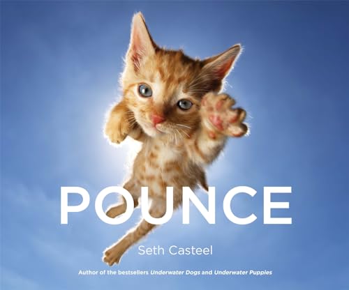 Beispielbild fr Pounce zum Verkauf von Better World Books