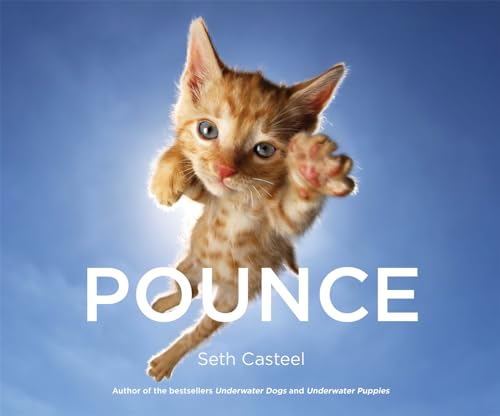 Stock image for Pounce for sale by Half Price Books Inc.