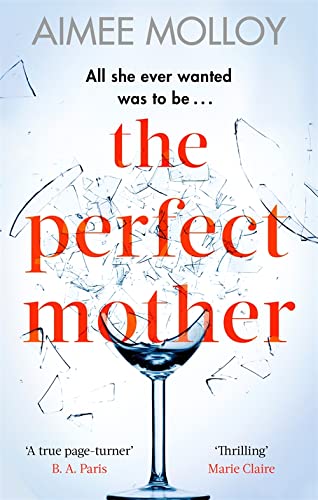 9780751570342: The Perfect Mother: A gripping thriller with a nail-biting twist