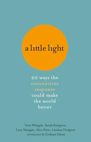 Imagen de archivo de A Little Light: 20 ways the coronavirus response could make the world better a la venta por Bookoutlet1