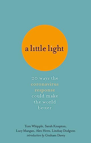 Stock image for A Little Light: 20 ways the coronavirus response could make the world better for sale by Bookoutlet1