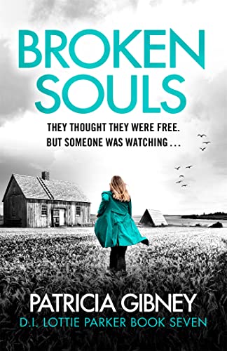 Imagen de archivo de Broken Souls: An absolutely addictive mystery thriller with a brilliant twist (Detective Lottie Parker) a la venta por WorldofBooks