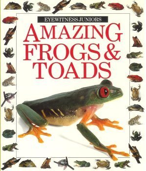 Imagen de archivo de Amazing Frogs & Toads (Eyewitness Juniors) a la venta por ThriftBooks-Atlanta