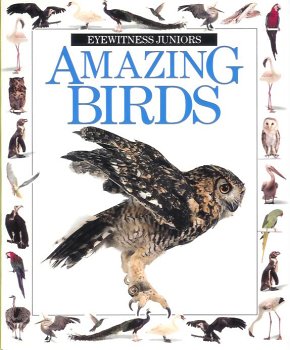 Imagen de archivo de Amazing Birds (Eyewitness Juniors) a la venta por Better World Books: West