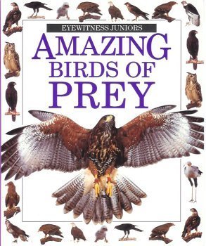 Imagen de archivo de Amazing Birds Of Prey (Eyewitness Juniors) a la venta por Better World Books: West