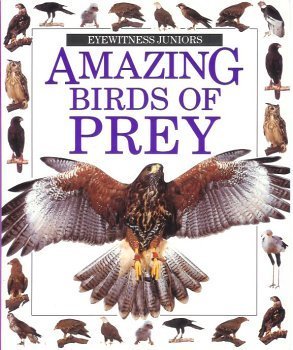 Stock image for Amazing Birds Of Prey (Eyewitness Juniors) for sale by Better World Books: West