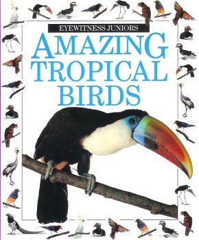 Imagen de archivo de Amazing Tropical Birds (Eyewitness Juniors) a la venta por ThriftBooks-Dallas