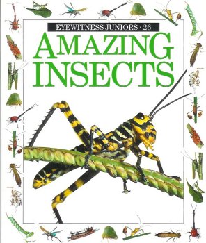Imagen de archivo de Amazing Insects (Eyewitness Juniors) a la venta por ThriftBooks-Atlanta
