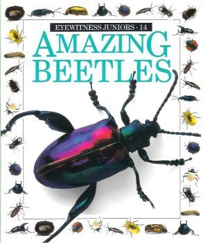 9780751650549: Amazing Beetles (Eyewitness Juniors)