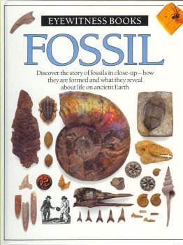 Beispielbild fr Fossil zum Verkauf von Wonder Book