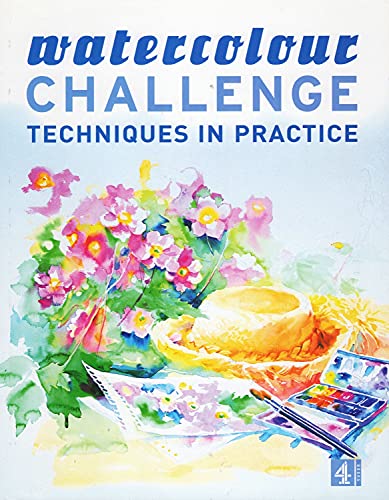 9780752262116: Watercolour Challenge:Techniques in Practice