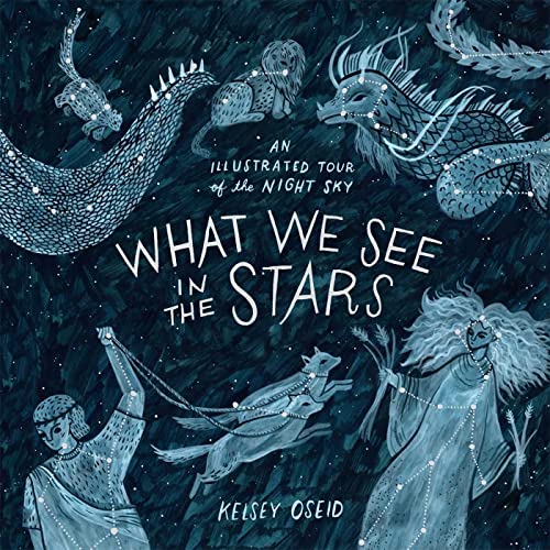 Imagen de archivo de What We See in the Stars: An Illustrated Tour of the Night Sky a la venta por WorldofBooks