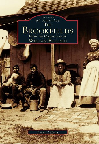 Beispielbild fr Brookfields zum Verkauf von WorldofBooks