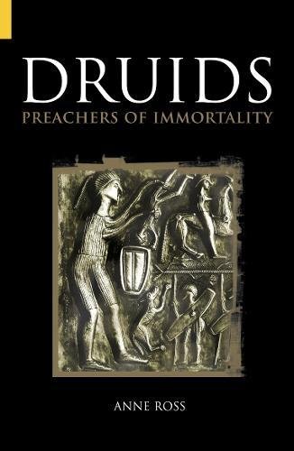 Stock image for Druids: Preachers of Immortality (Revealing History) for sale by Goodwill Books