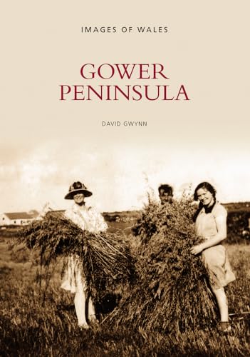 Stock image for Gower Peninsula: Images of Wales for sale by Allyouneedisbooks Ltd