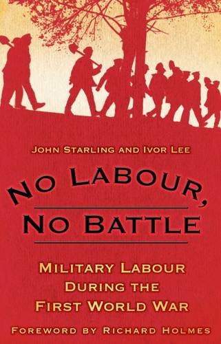 Stock image for No Labour, No Battle for sale by Books Unplugged
