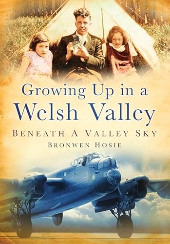 9780752451633: Growing Up in a Welsh Valley: Beneath a Valley Sky