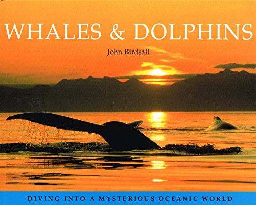 Beispielbild fr Whales & Dolphins zum Verkauf von THE OLD LIBRARY SHOP