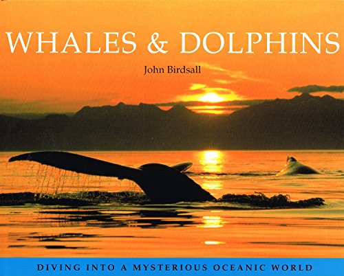 Imagen de archivo de Whales and Dolphins : a la venta por WorldofBooks