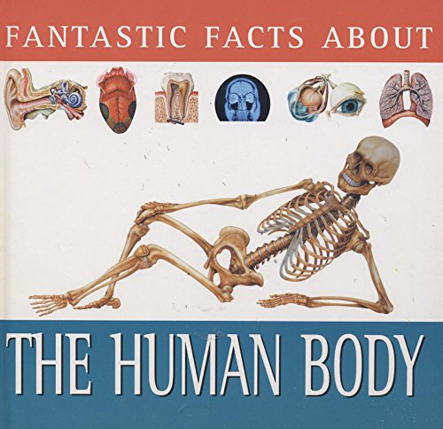 Beispielbild fr Fantastic facts about the human body zum Verkauf von Wonder Book