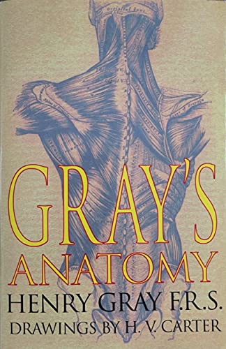 Stock image for Gray's Anatomy for sale by WorldofBooks