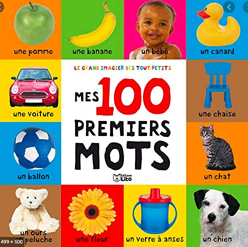 Stock image for 100 Premiers Mots (First 100 Words) for sale by Better World Books