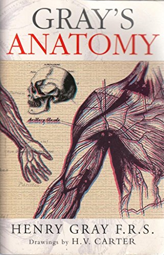 Beispielbild fr Anatomy zum Verkauf von WorldofBooks