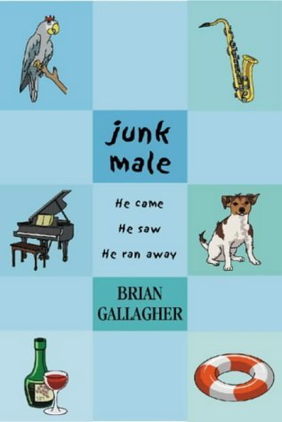 Imagen de archivo de Junk Male a la venta por Acme Books