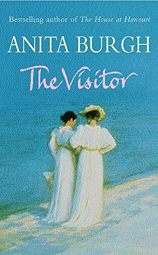 9780752858814: The Visitor