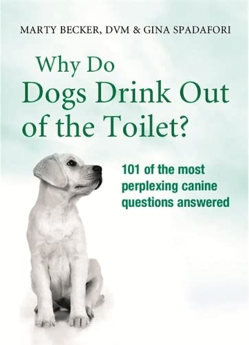Imagen de archivo de Why Do Dogs Drink Out Of The Toilet? a la venta por WorldofBooks