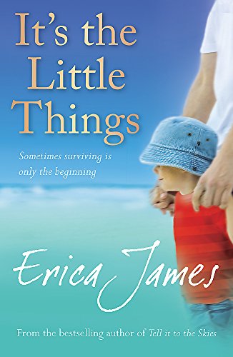 It's the Little Things (9780752897547) by James, Erica