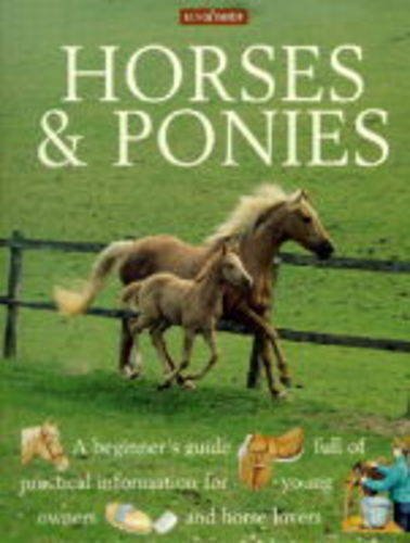 Beispielbild fr Horses & Ponies (Pb) (Out & about activity books) zum Verkauf von WorldofBooks