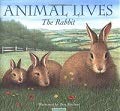 Stock image for Rabbit (Animal Lives S.) for sale by WorldofBooks