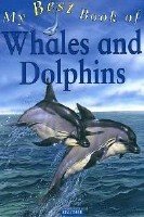 Stock image for My Best Book of Whales and Dolphins for sale by Reuseabook