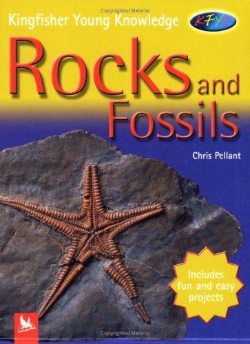 Imagen de archivo de Kingf Young Knowledge Rocks and Fossi a la venta por Better World Books