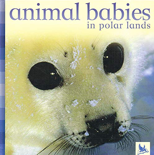 Stock image for Animal Babies in Polar Lands for sale by ThriftBooks-Atlanta