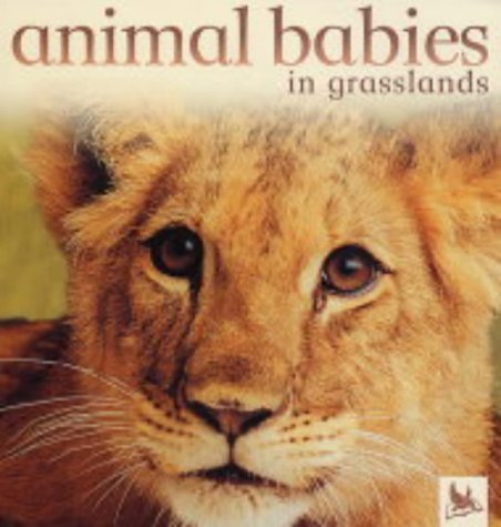 Beispielbild fr Animal Babies Grasslands zum Verkauf von WorldofBooks