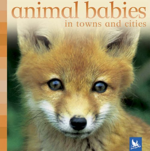 Stock image for Animal Babies in Towns and Cities for sale by ThriftBooks-Dallas