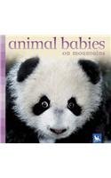 Stock image for Animal Babies on Mountains (Animal Babies S.) for sale by WorldofBooks