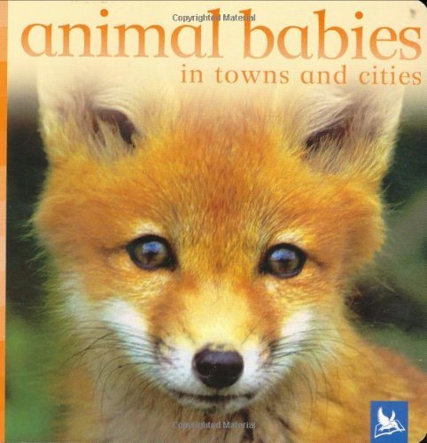 Beispielbild fr Animal Babies in Towns and Cities (Animal Babies) zum Verkauf von MusicMagpie