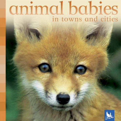 Stock image for Animal Babies in Towns and Cities (Animal Babies) for sale by MusicMagpie