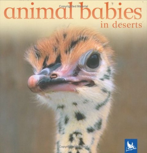 Stock image for Animal Babies in Deserts for sale by AwesomeBooks
