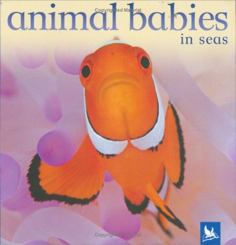 Stock image for Animal Babies in Seas (Animal Babies S.) for sale by AwesomeBooks