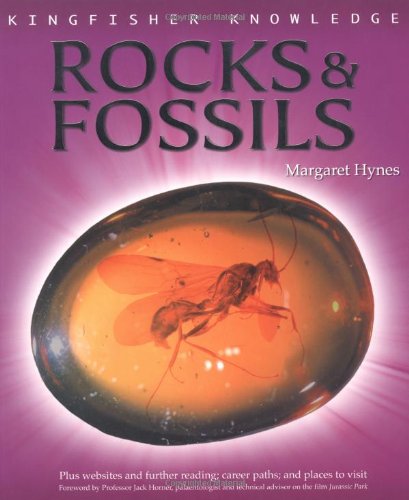 Kfk Rocks and Fossils (9780753413692) by Hynes, Margaret