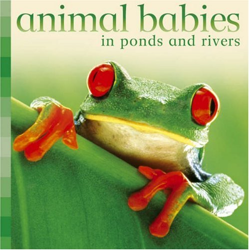 Beispielbild fr Animal Babies in Ponds and Rivers (Animal Babies) zum Verkauf von medimops