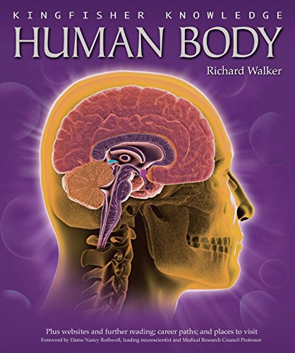 Human Body (9780753418871) by Walker, Richard