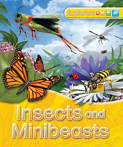 Beispielbild fr Explorers: Insects and Minibeasts zum Verkauf von WorldofBooks