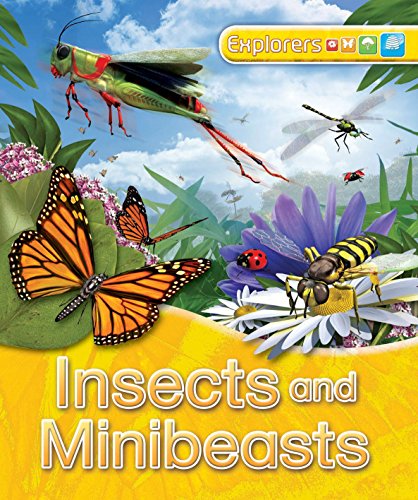 Insects and Minibeasts (9780753430385) by Jinny Johnson