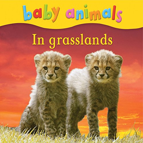 Baby Animals: In Grasslands (9780753431092) by Kingfisher Publications